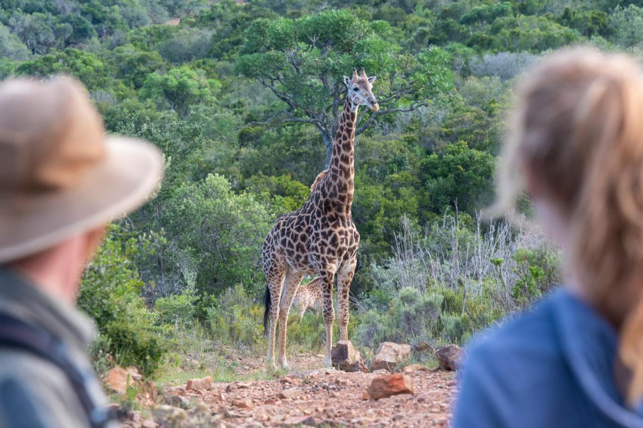 Appartamento Waggi Mountain Escape Addo Esterno foto